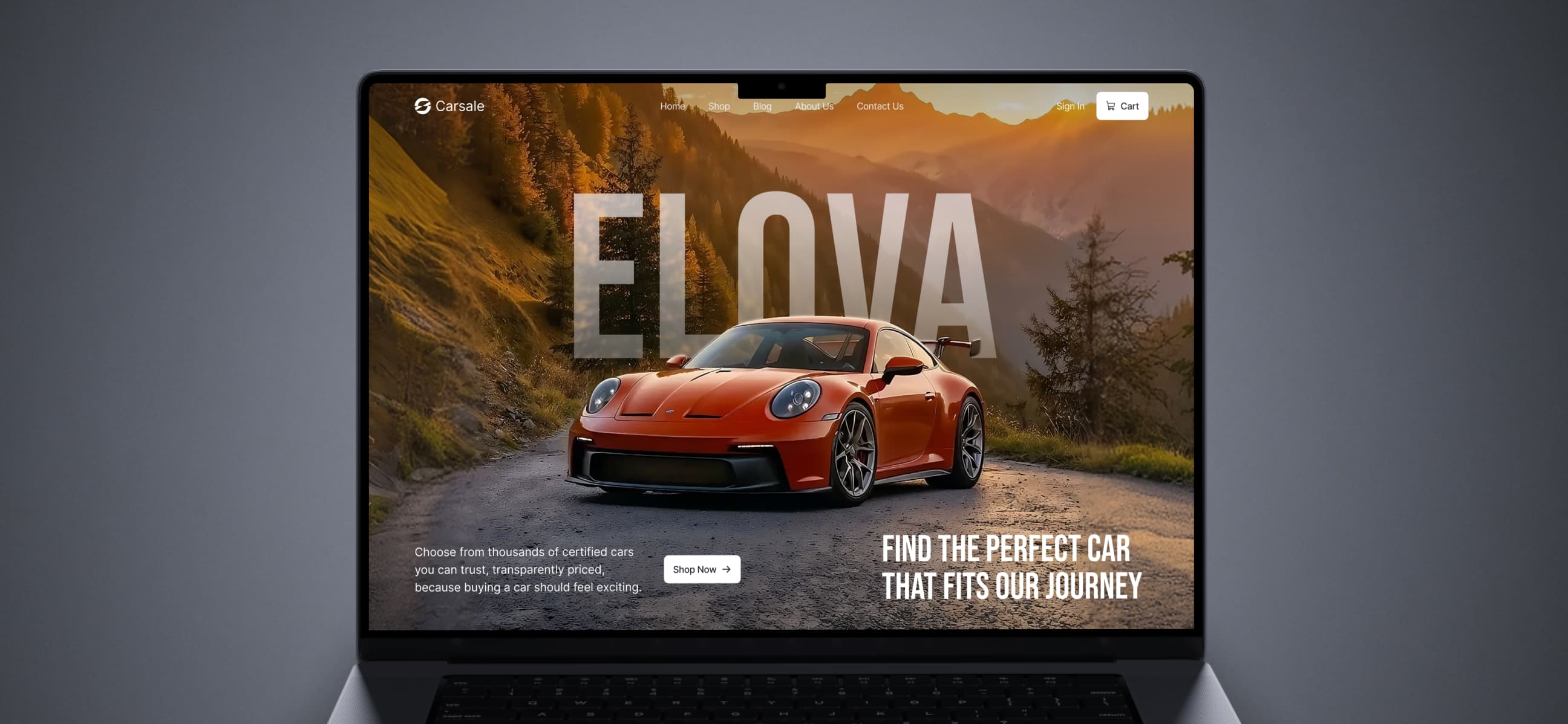 Car Sale Portfolio Featured